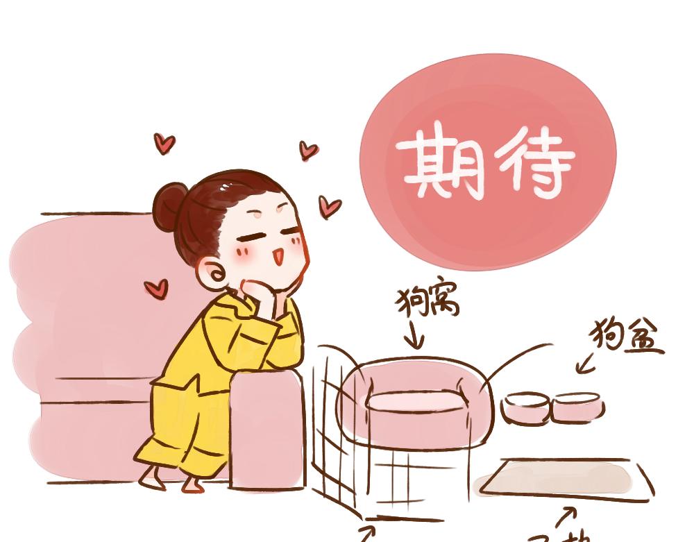 019 领养一只狗子！？-第20话