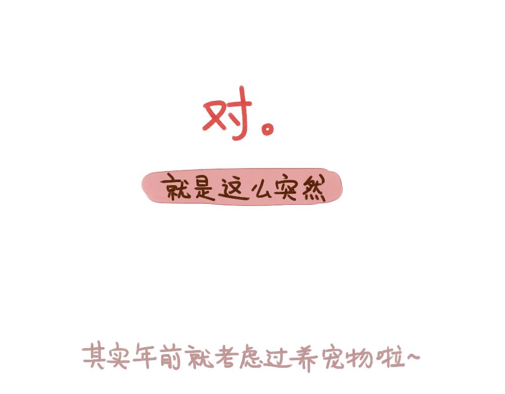 019 领养一只狗子！？-第20话