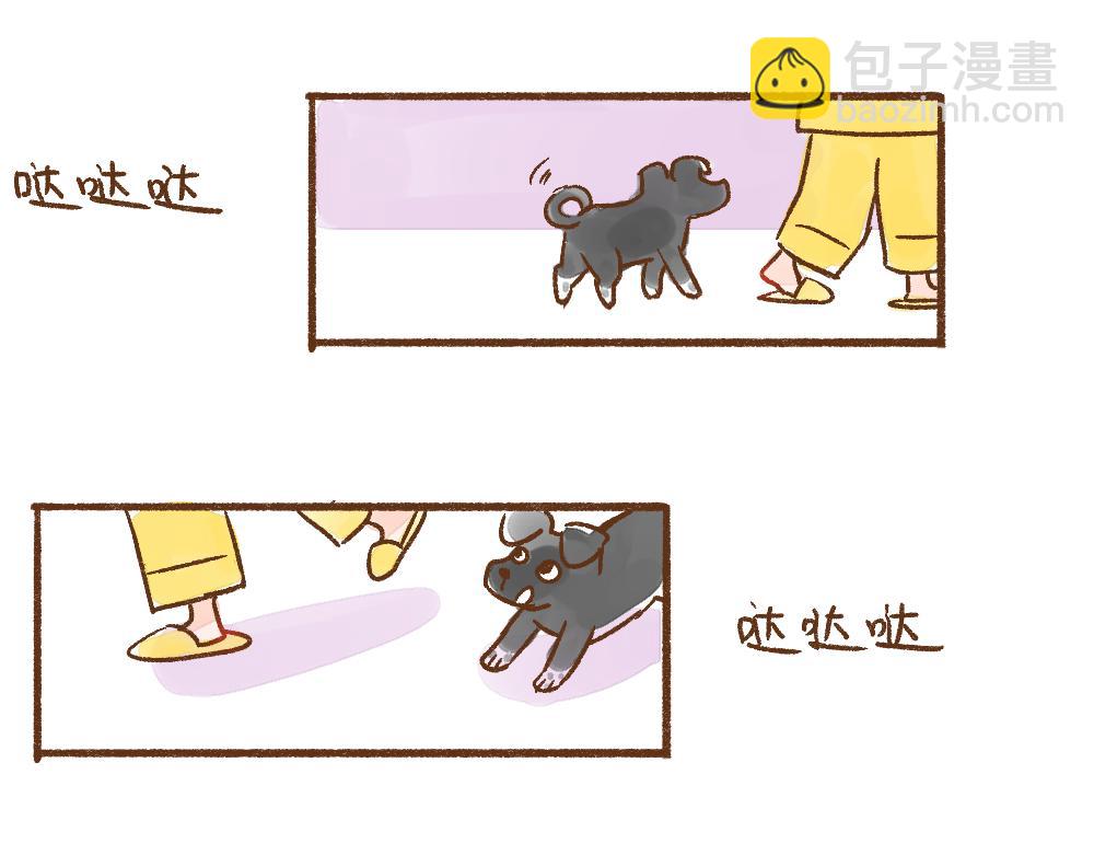 069 小狗不在的那一天-第70话