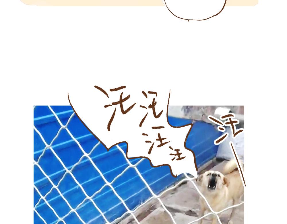 069 小狗不在的那一天-第70话