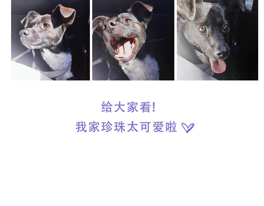 075 不用学习太快乐啦！-第76话