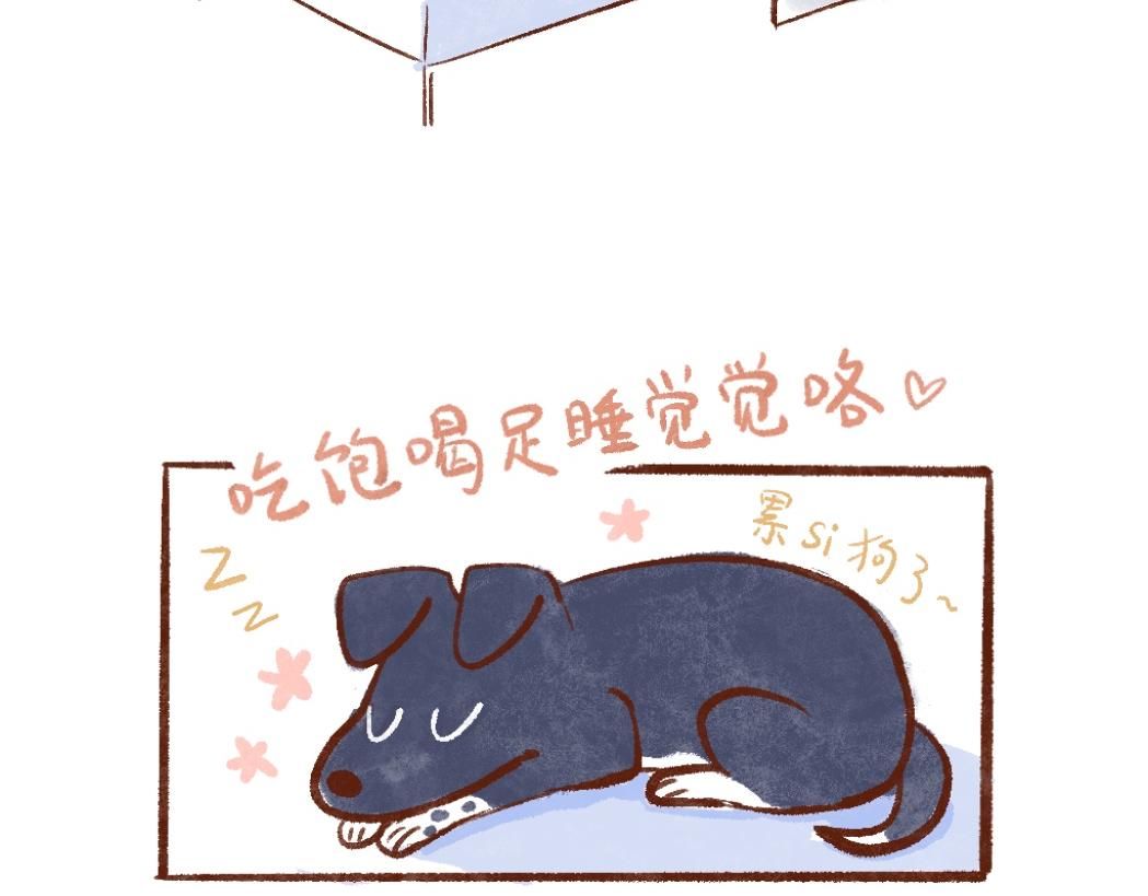 093 小狗去海边旅游啦！-第94话