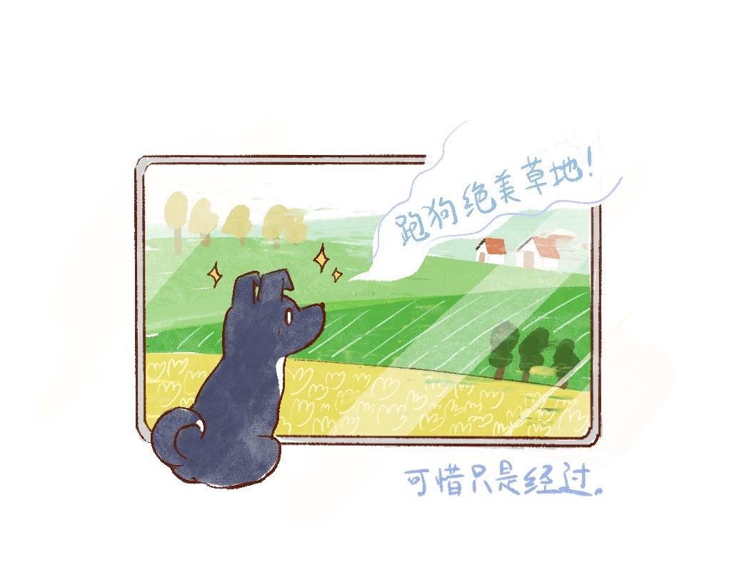 093 小狗去海边旅游啦！-第94话