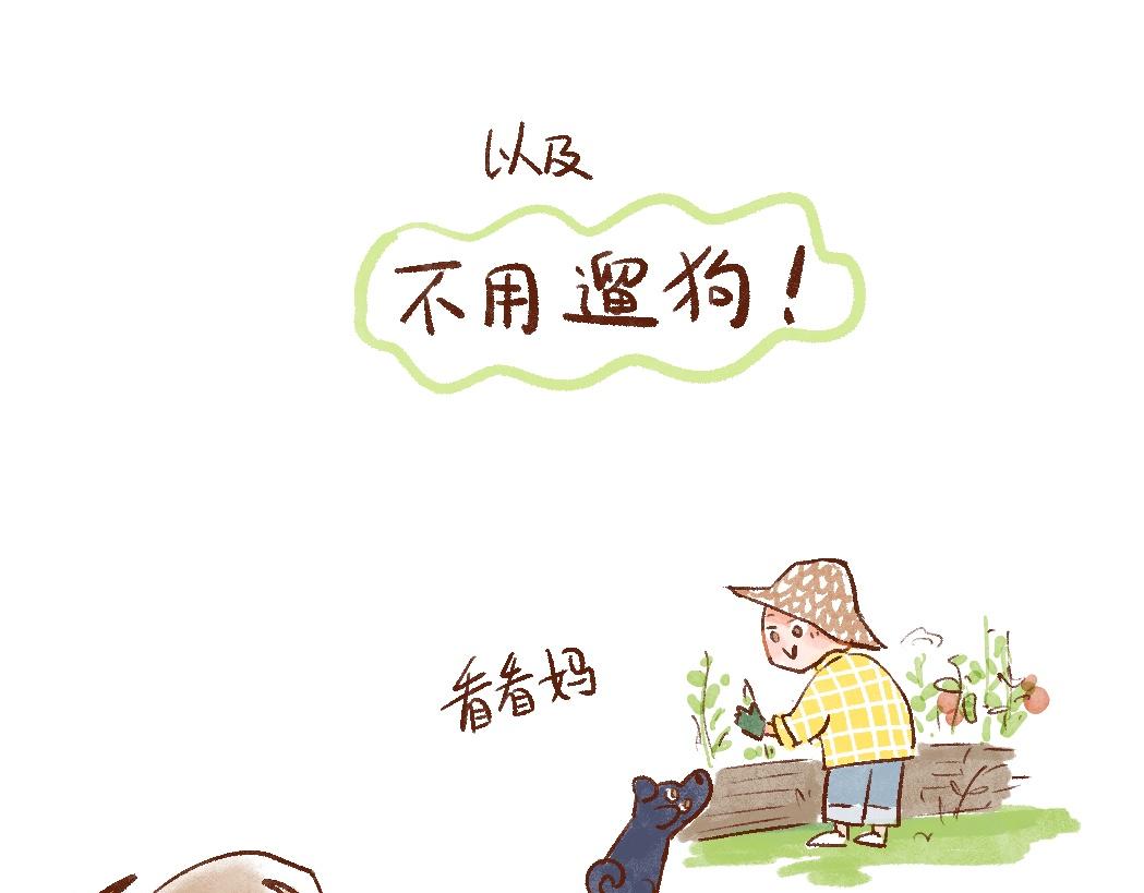 097 带小狗去农场打工换宿啦-第112话