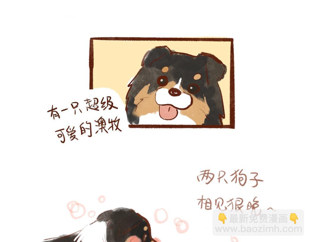 097 带小狗去农场打工换宿啦-第112话