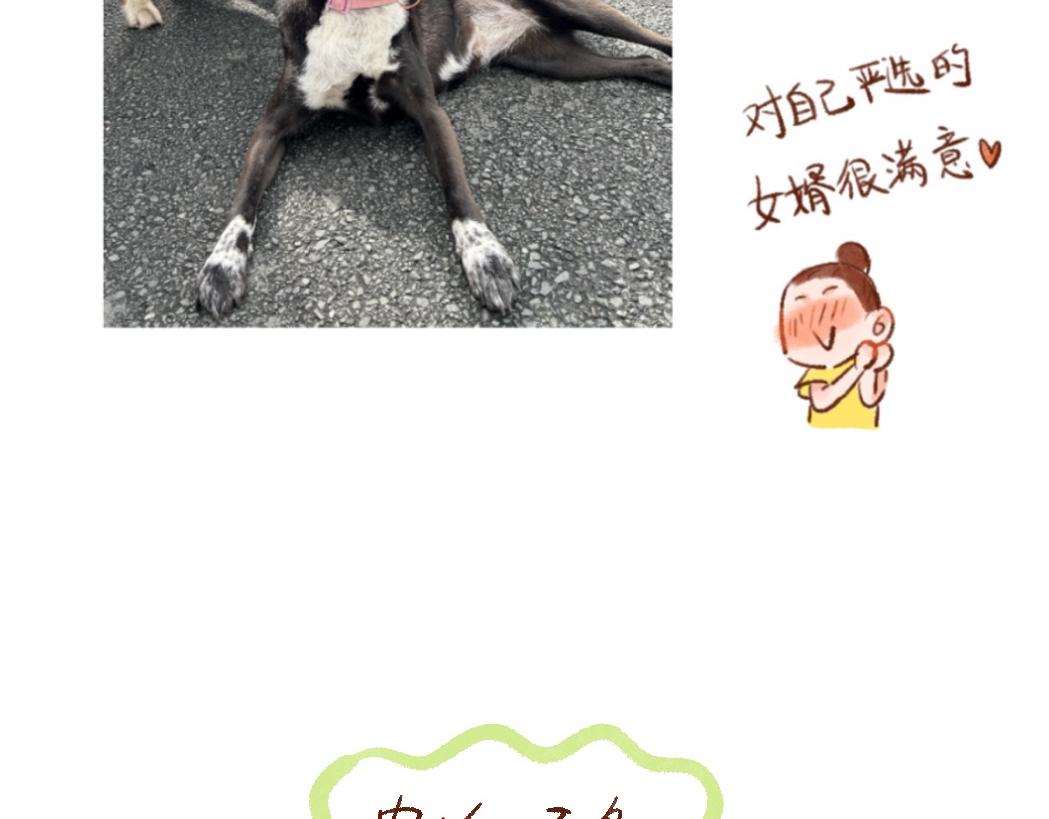 097 带小狗去农场打工换宿啦-第112话