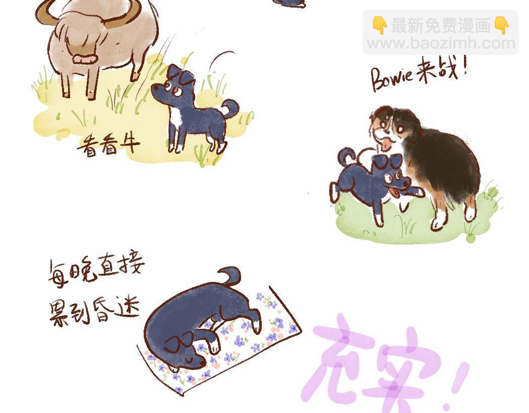 097 带小狗去农场换宿啦①-第98话