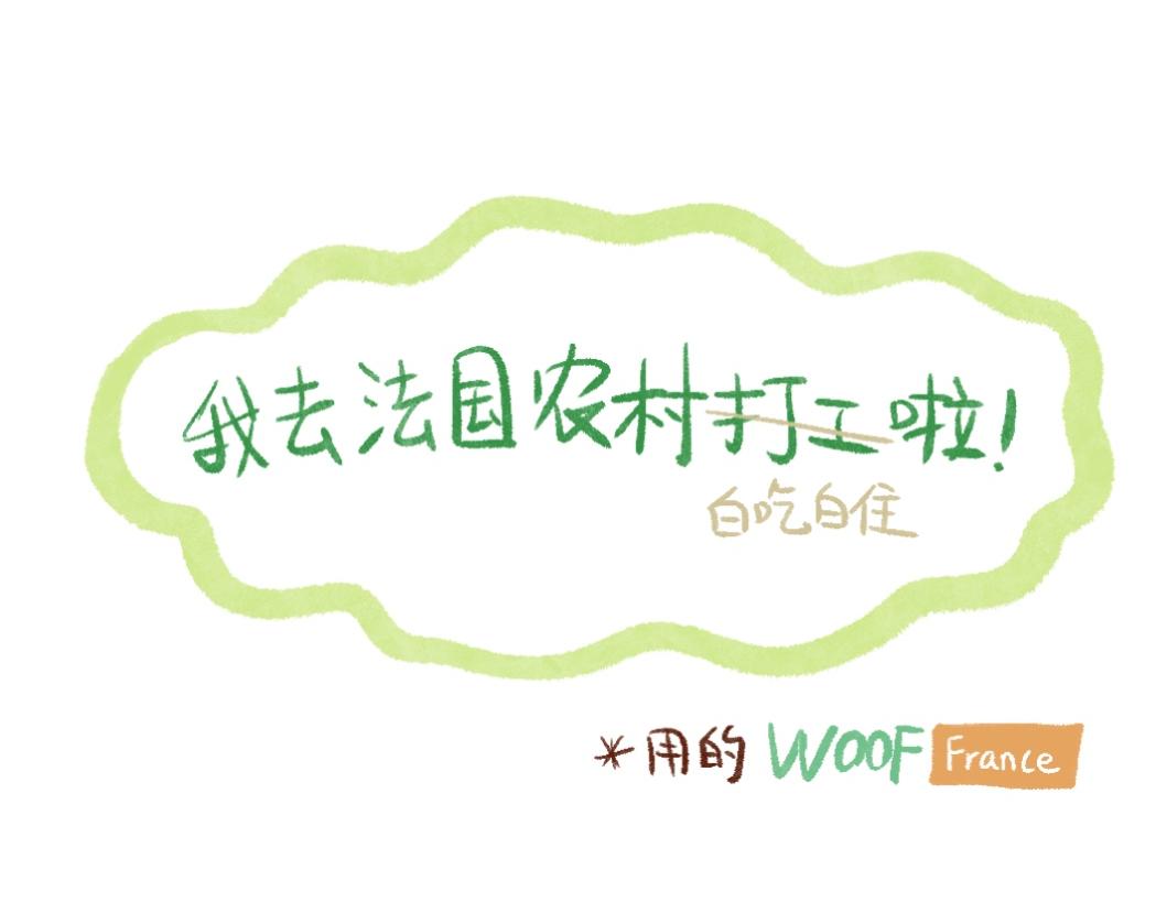 097 带小狗去农场换宿啦①-第98话