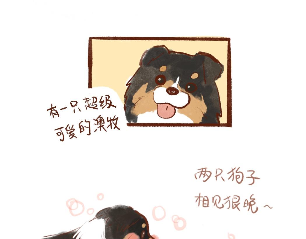 097 带小狗去农场换宿啦①-第98话