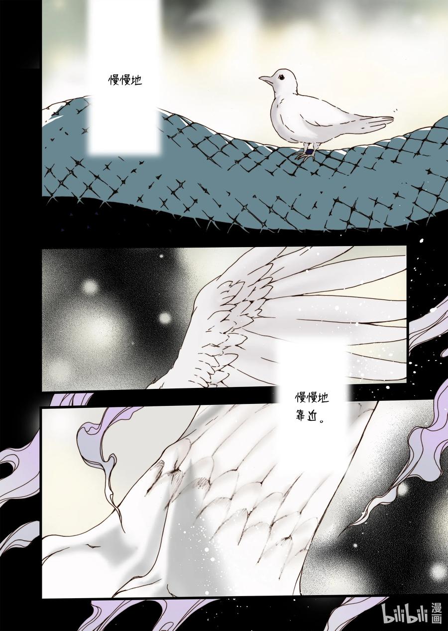 29 小喜鹊-第30话