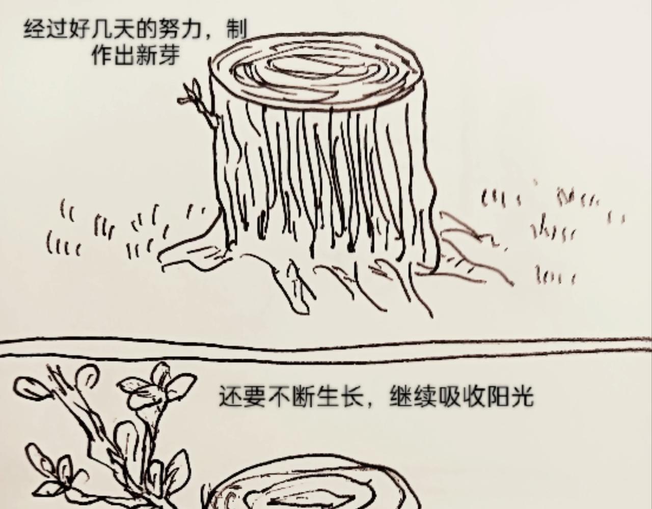 细胞的功能真强大-第10话