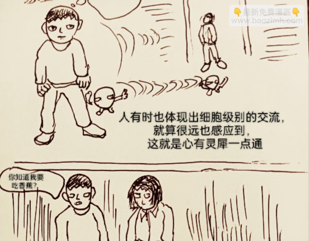 细胞的功能真强大-第10话