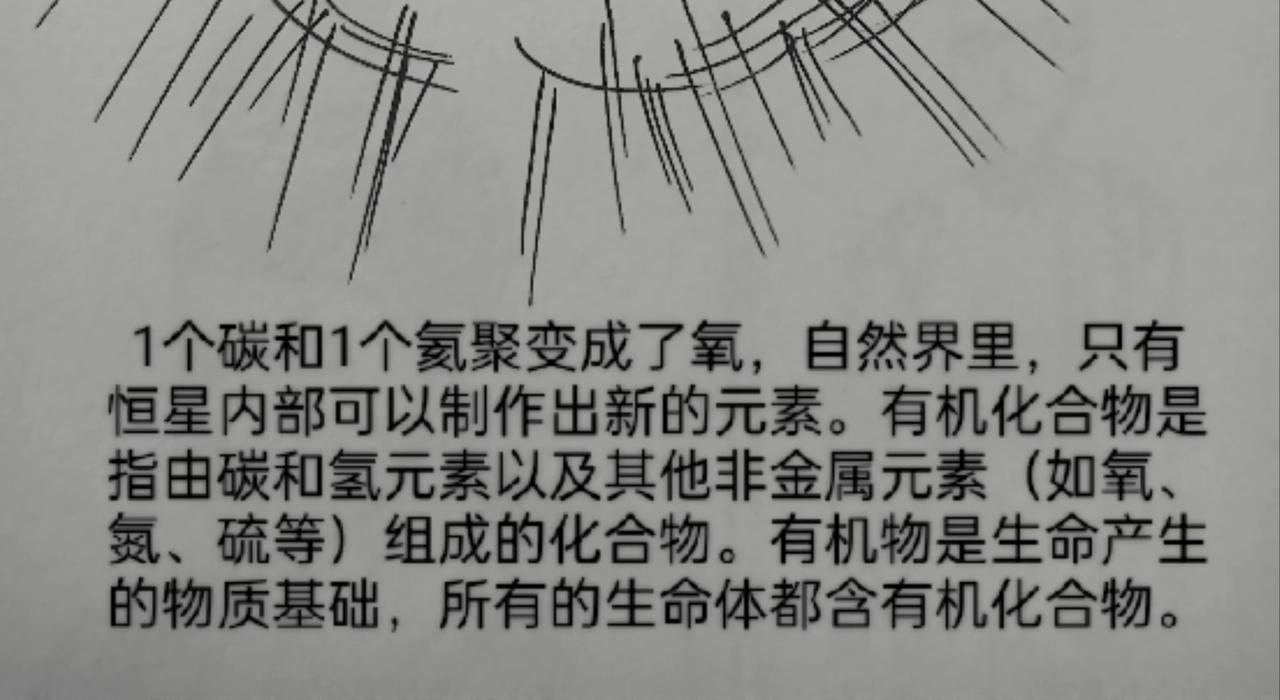 月球种子发芽-第24话