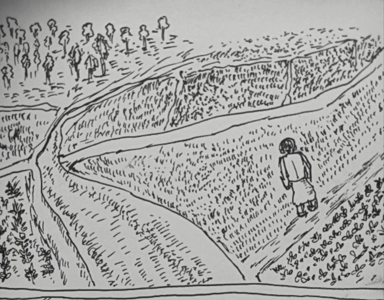 月球种子发芽-第24话