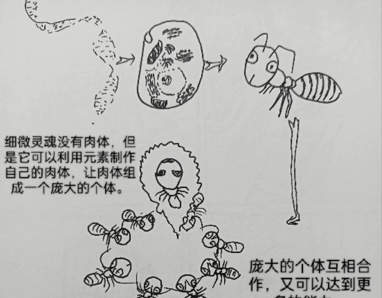 可控核聚变实验-第26话