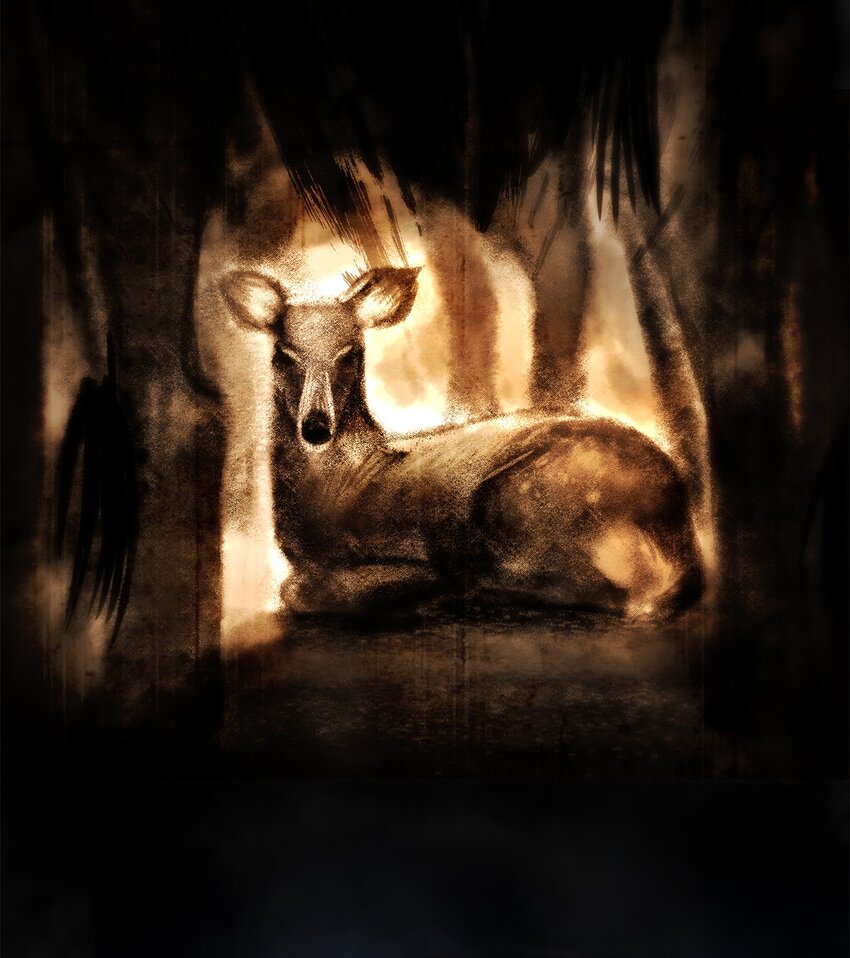 24 逃离家中(1/2)-第24话