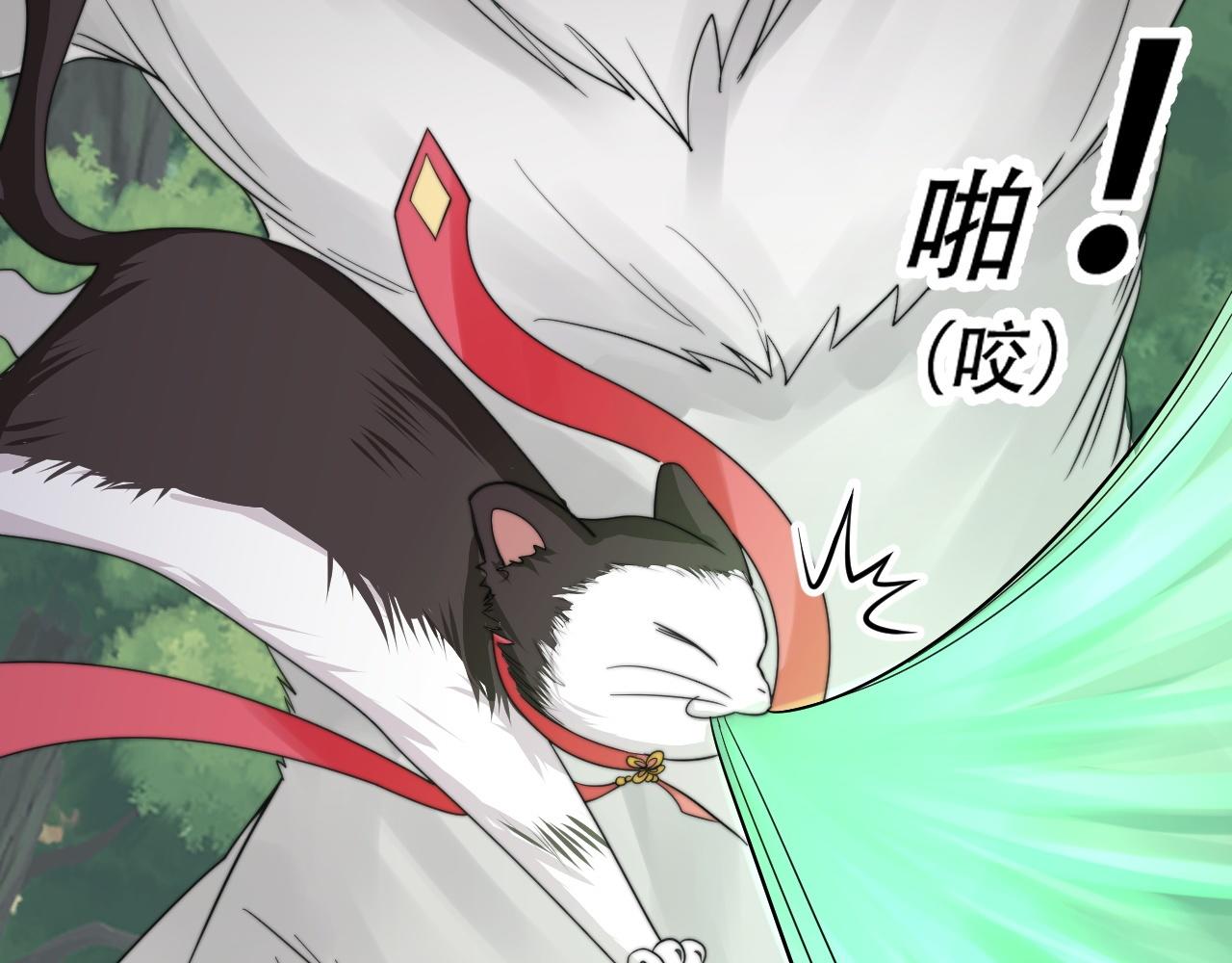 倒霉蛋大战气运王 - 05 神宠猫女？！(3/4) - 5