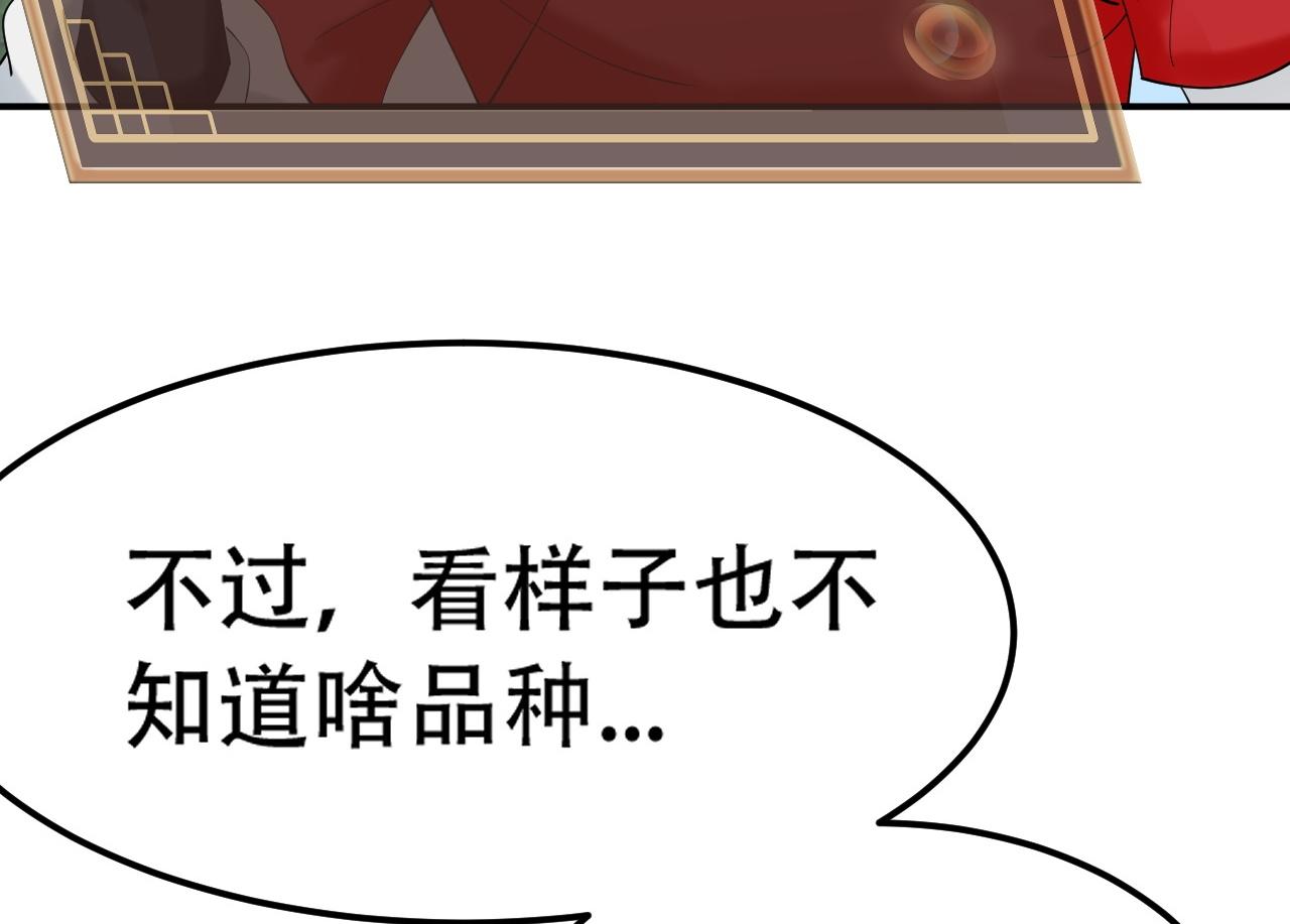 倒霉蛋大战气运王 - 05 神宠猫女？！(2/4) - 7