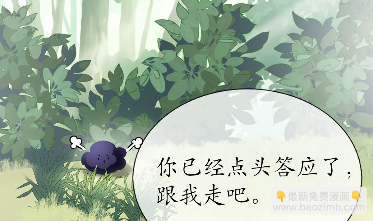 打死也不做師尊 - 第11話 仙師，手別亂摸(1/2) - 6