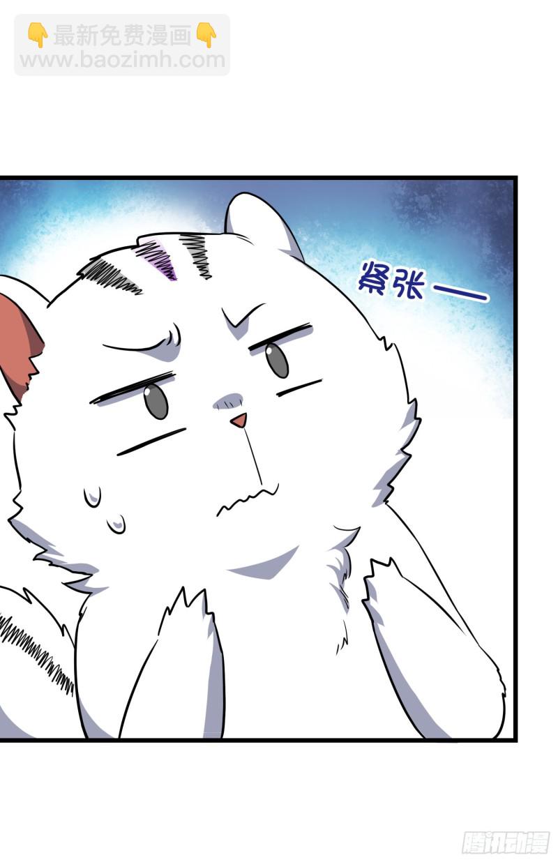 81.jpg