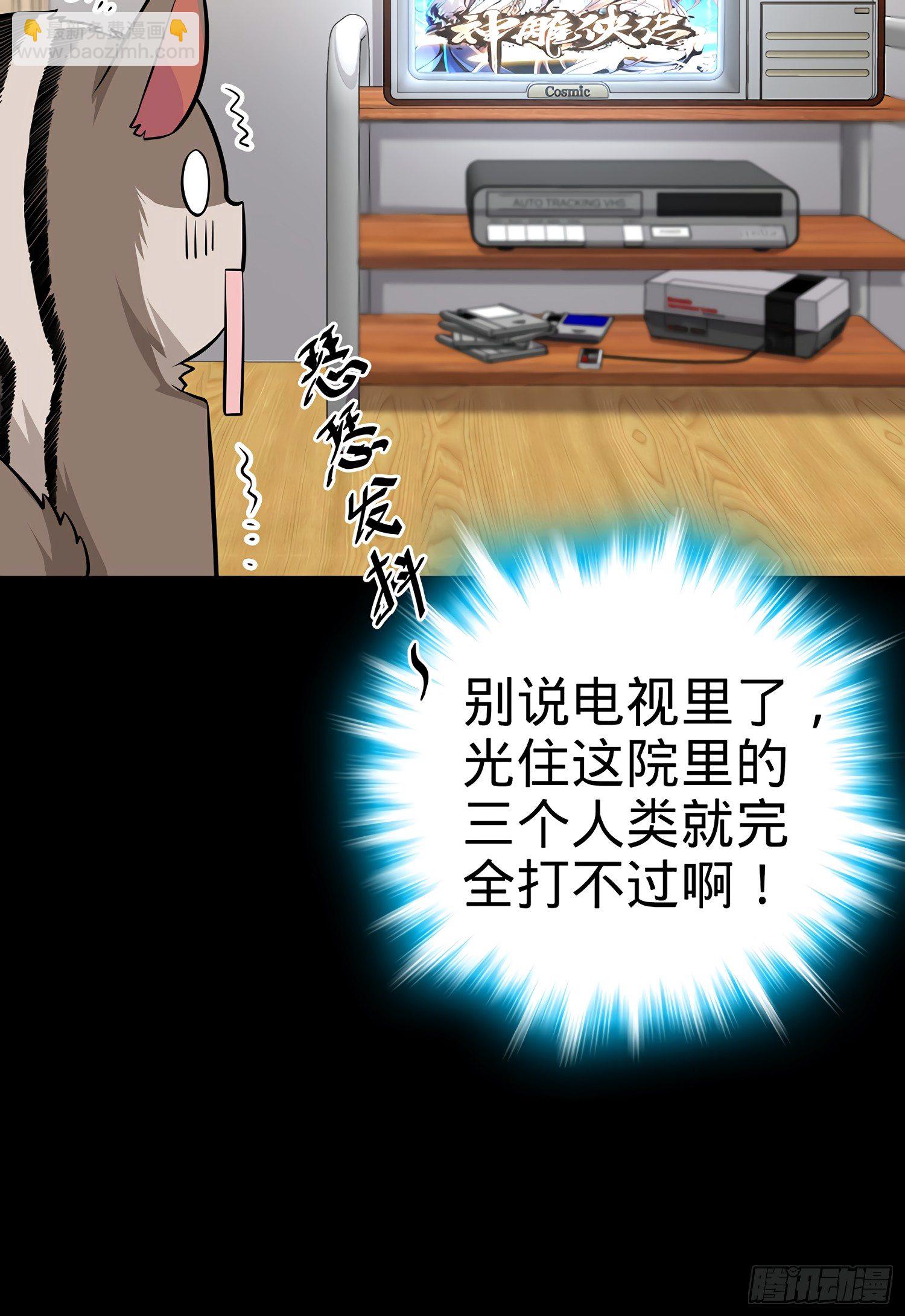53.jpg