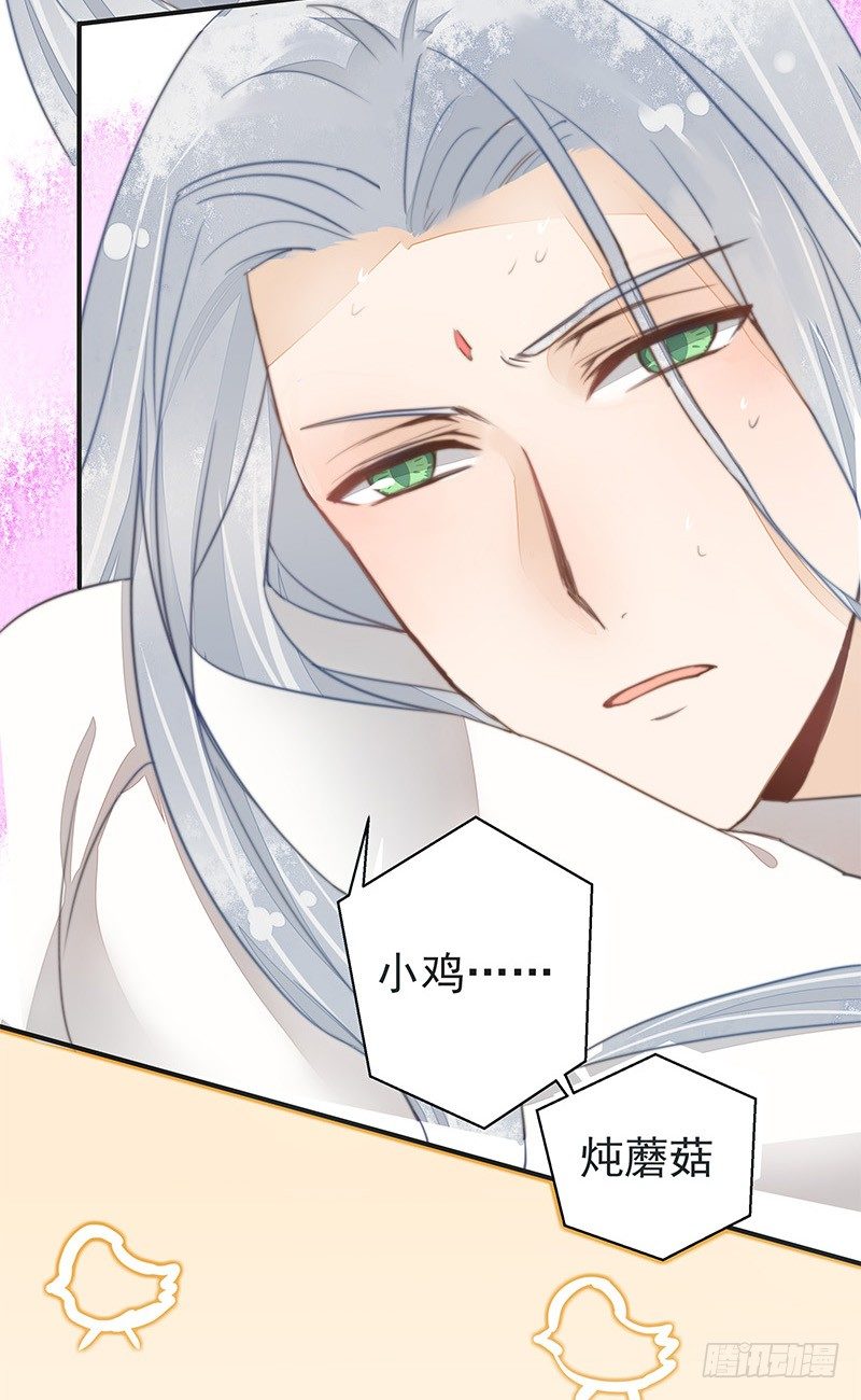 妖神大人的小宠物-第28话