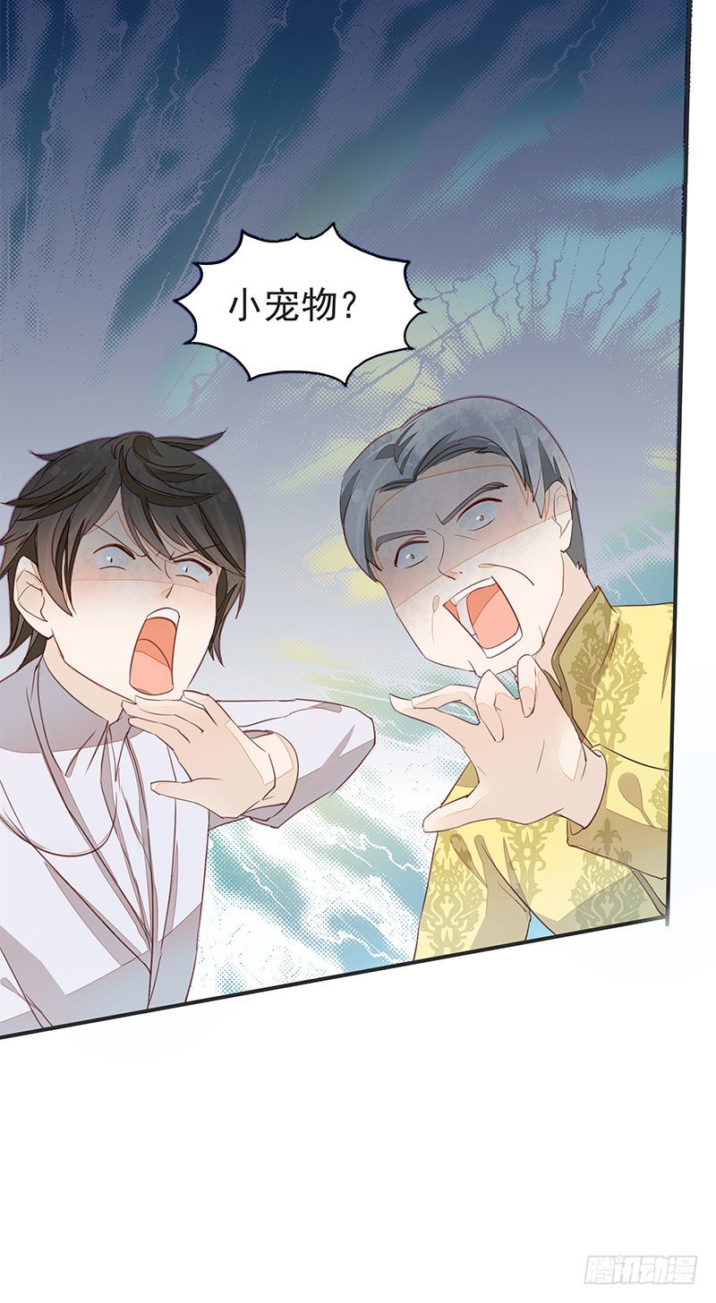 妖神大人的小宠物-第28话