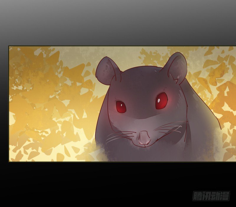 准备(1/2)-第60话