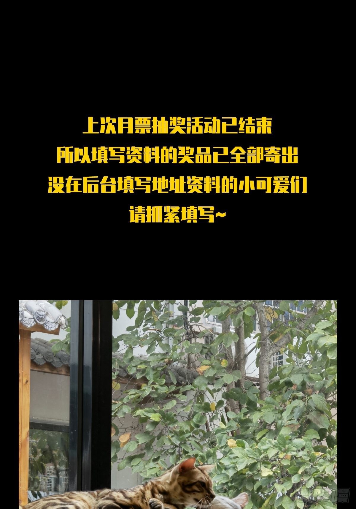 56.jpg
