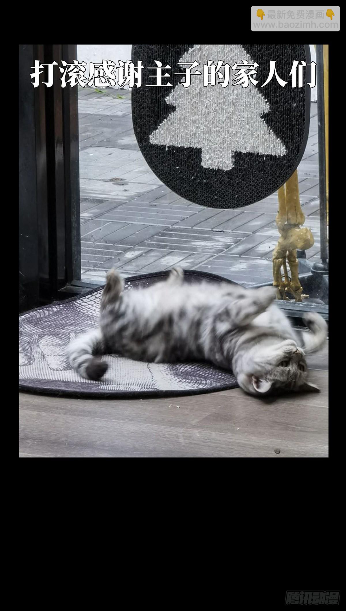 54.jpg
