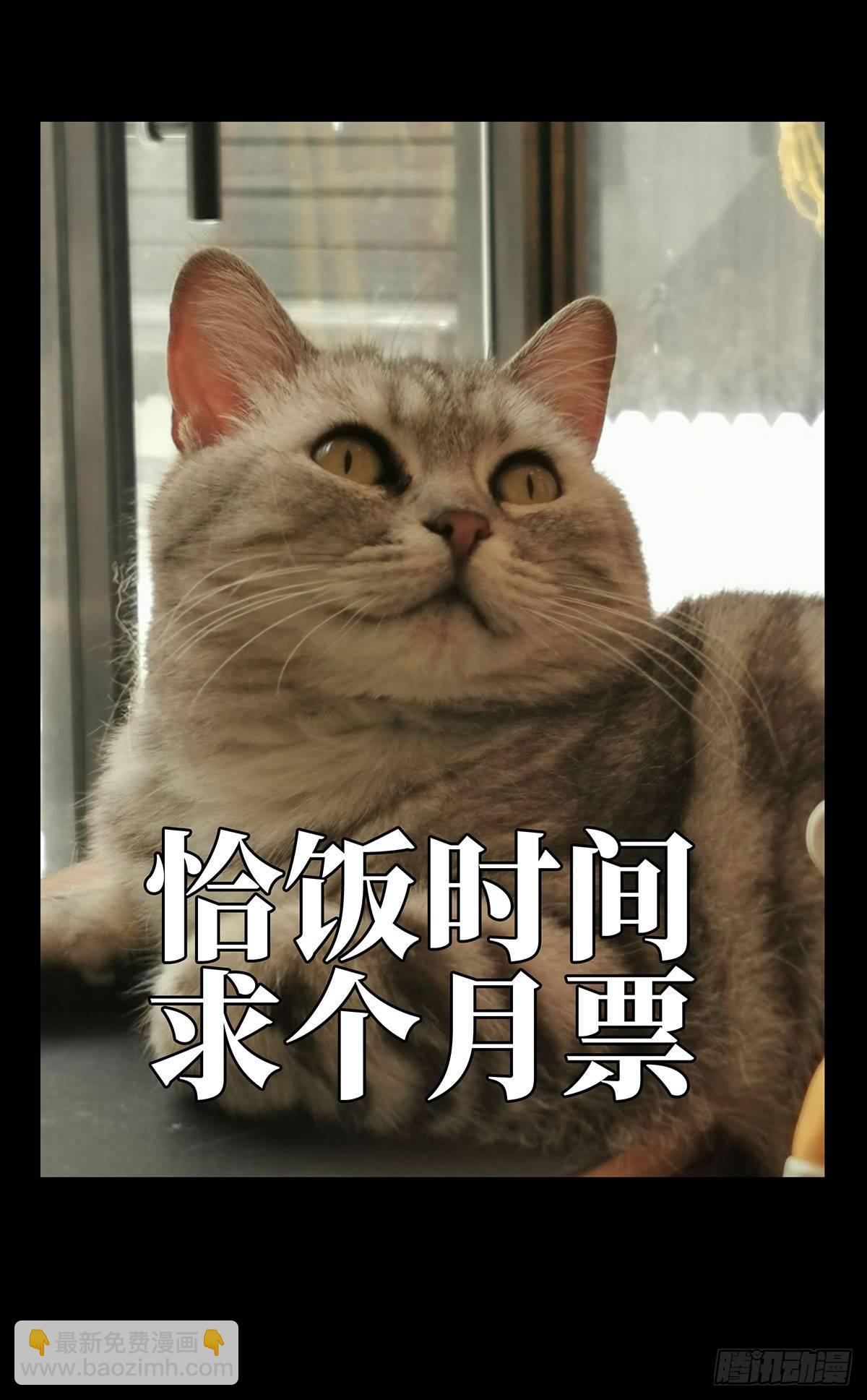 40.jpg