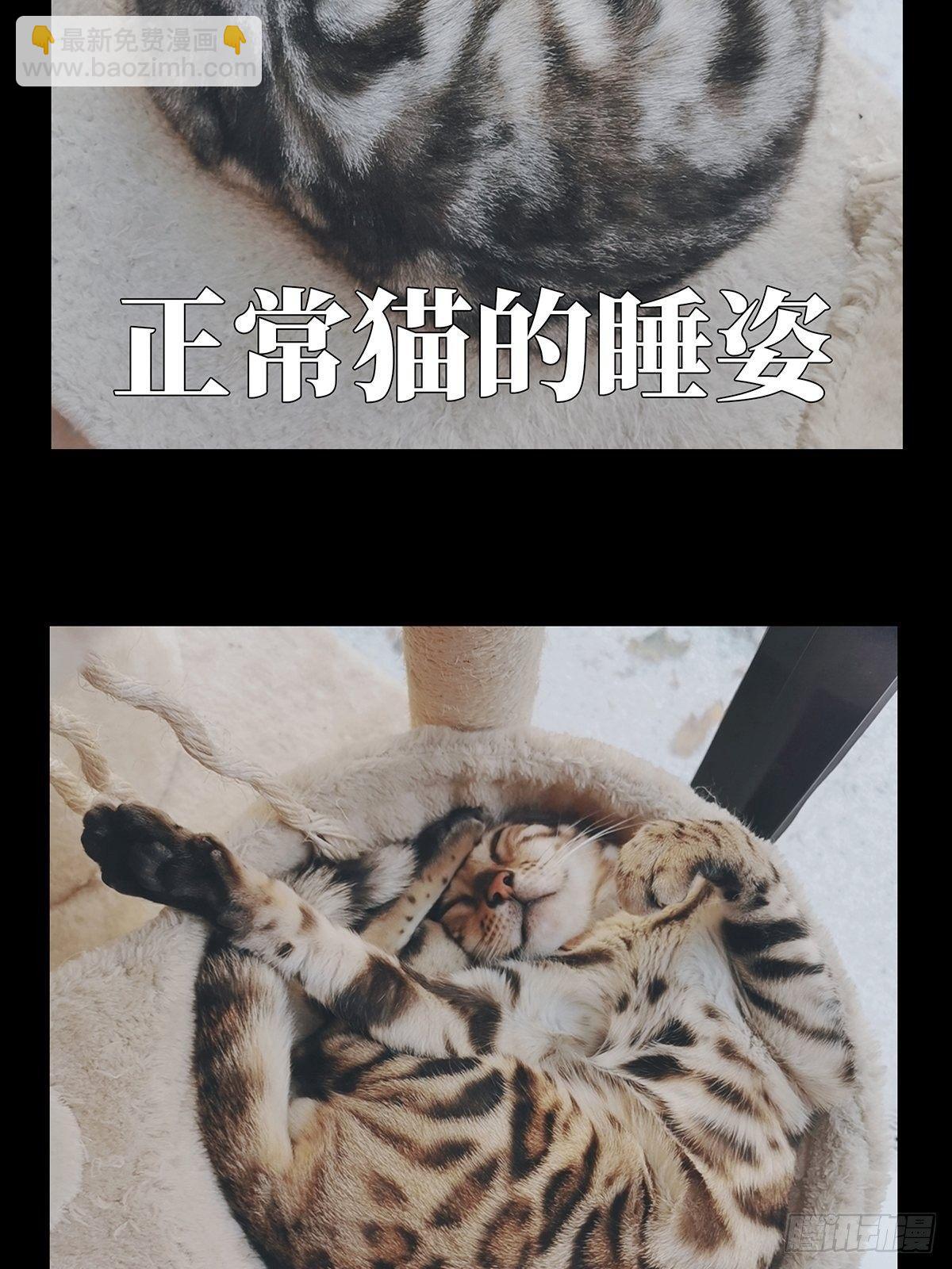 大象无形 - 第九十五章/灵息上 - 2