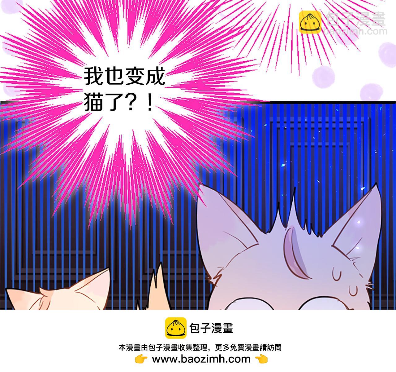 第50话 变身猫咪(1/5)-第50话