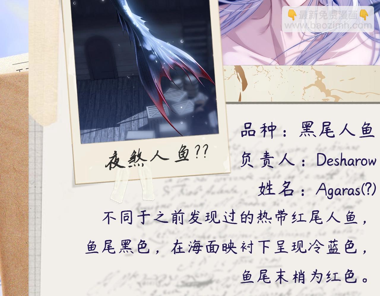 第4期  小档案：人鱼的机密档案？-第22话