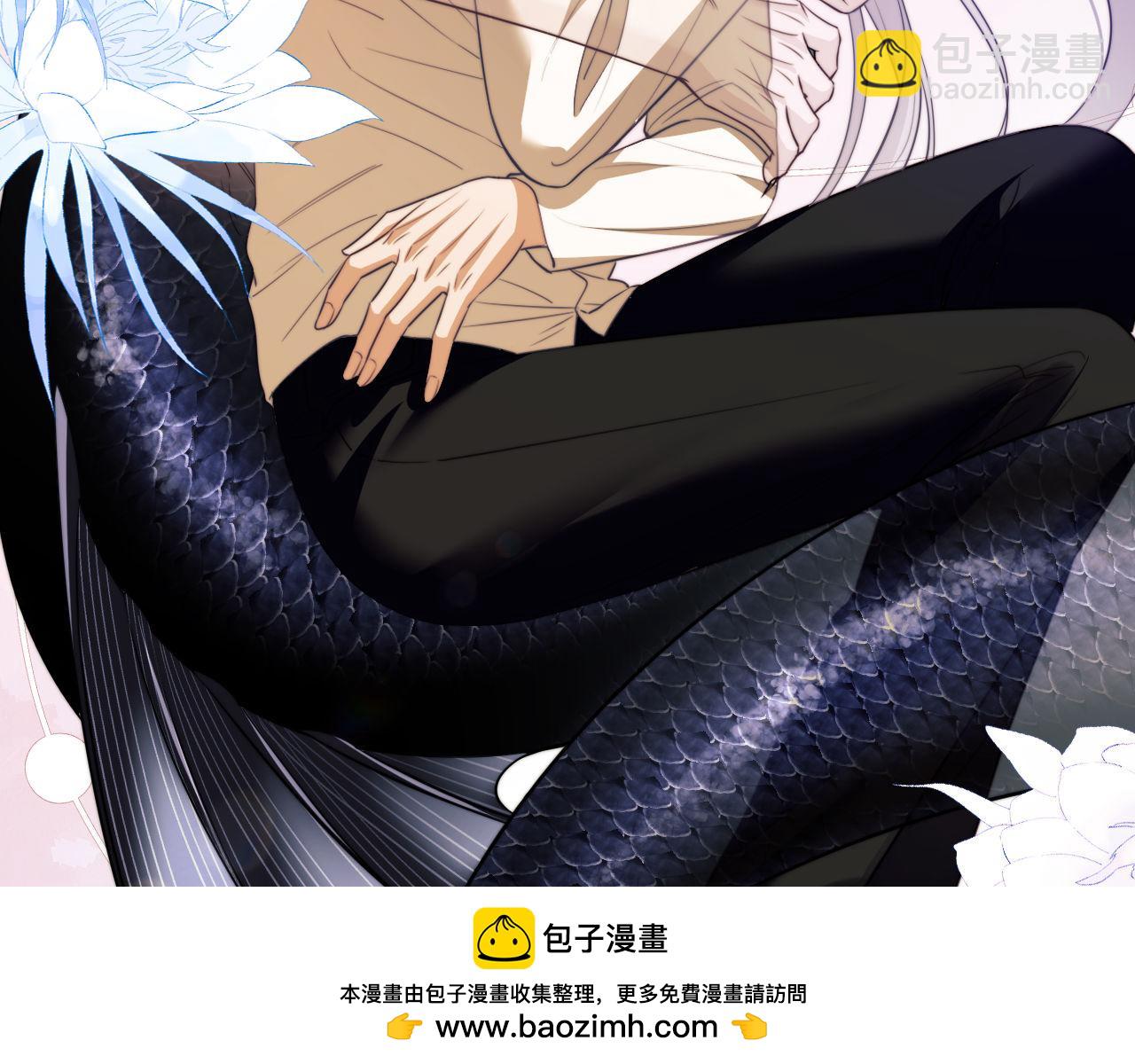 第39话 前往人鱼岛(1/2)-第50话