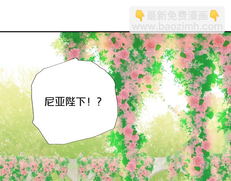 第11话  笨马蜂(1/2)-第12话