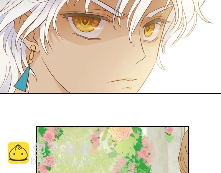 第11话  笨马蜂(1/2)-第12话