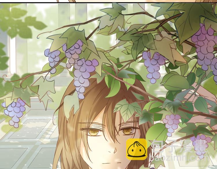 番外2 公主殿下的礼物(1/2)-第62话