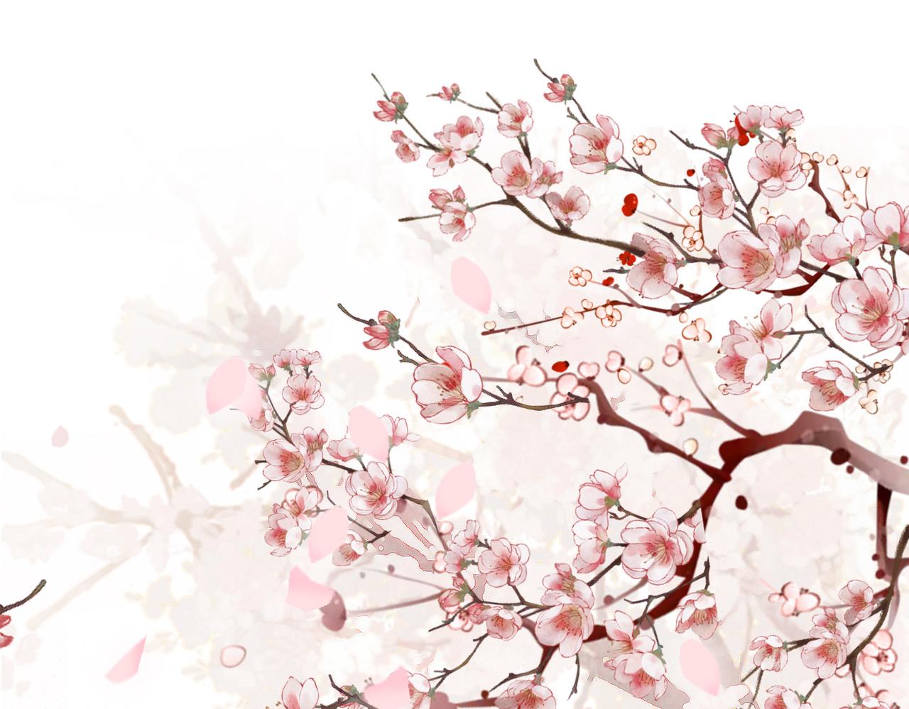 第14话 护妻小能手(1/3)-第16话