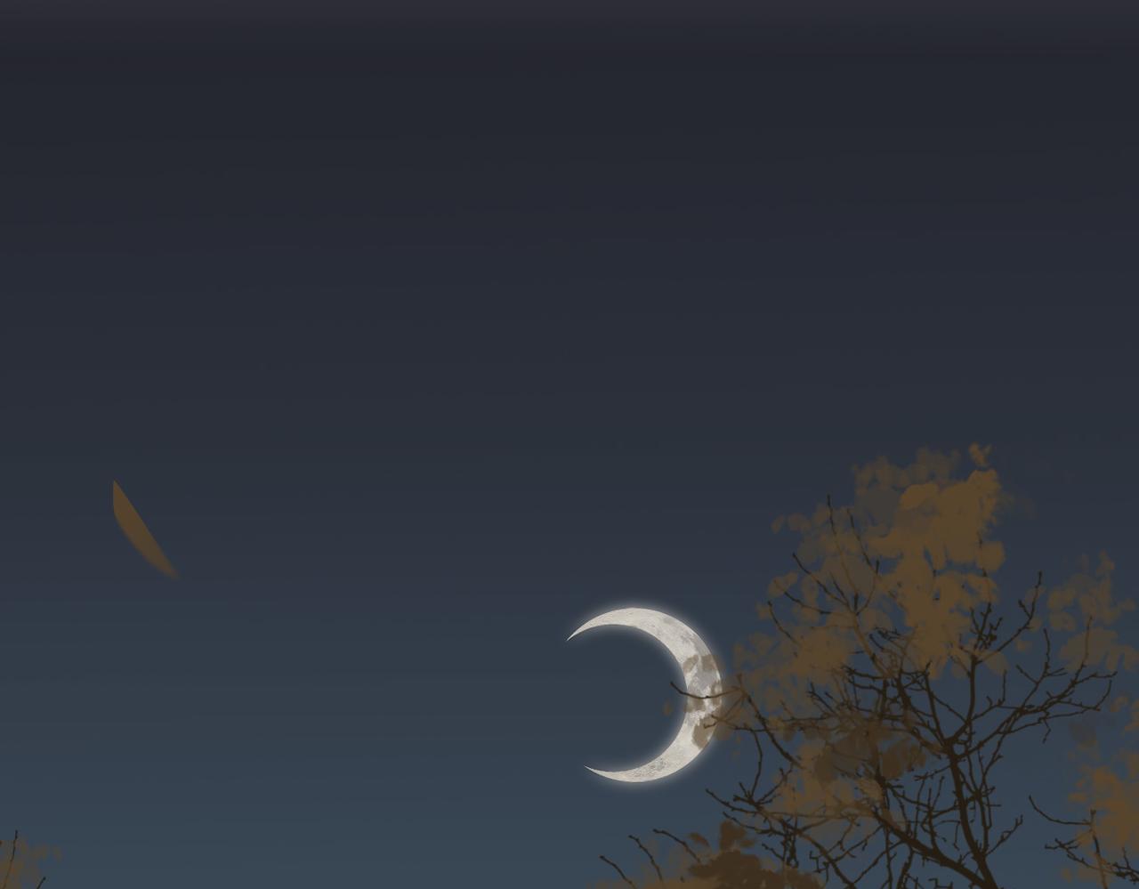 第24话 冤大头(1/2)-第26话