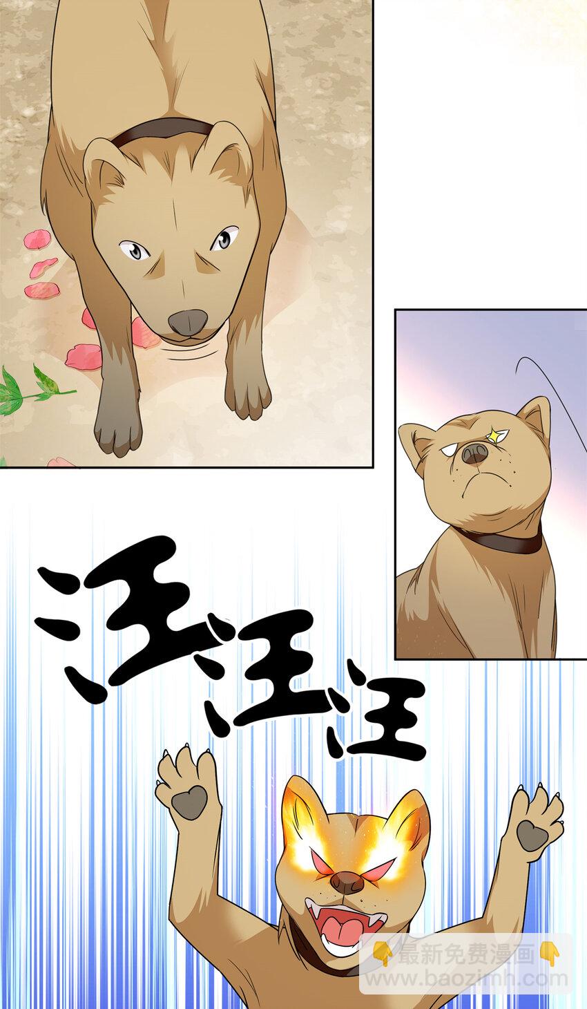 076 汪汪大成立大功-第76话