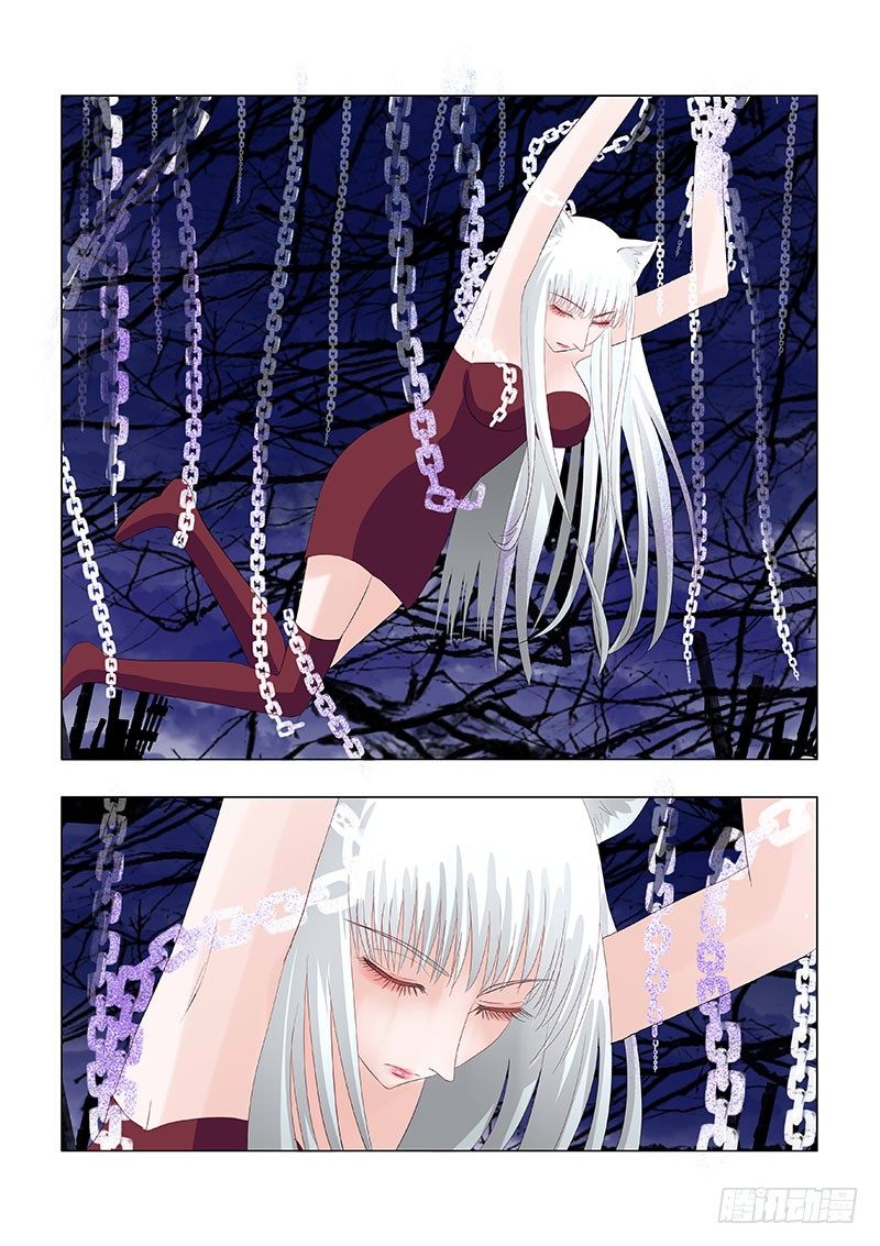 030：营救傻白1-第30话