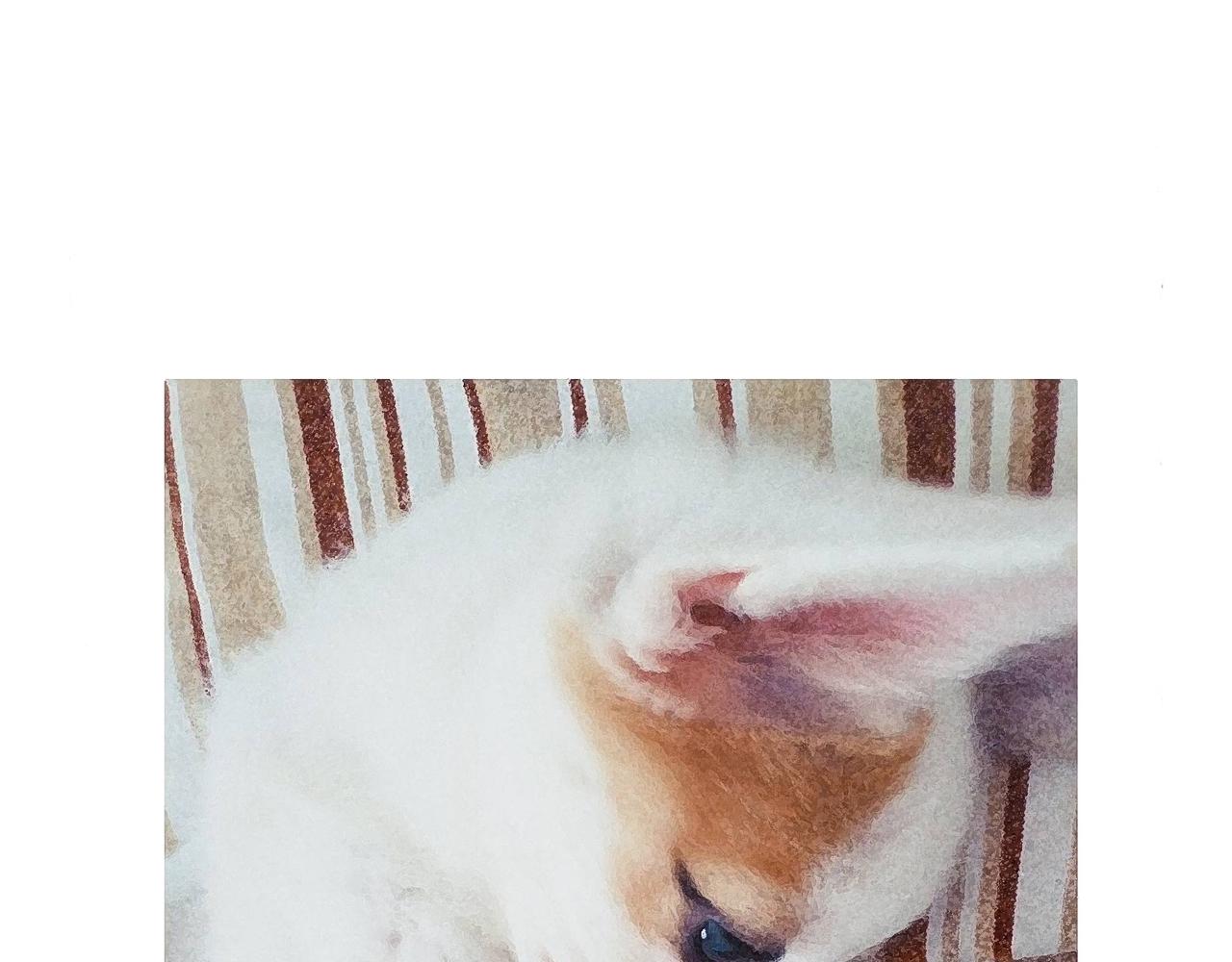 眼线仙子与创作坎坷-第10话