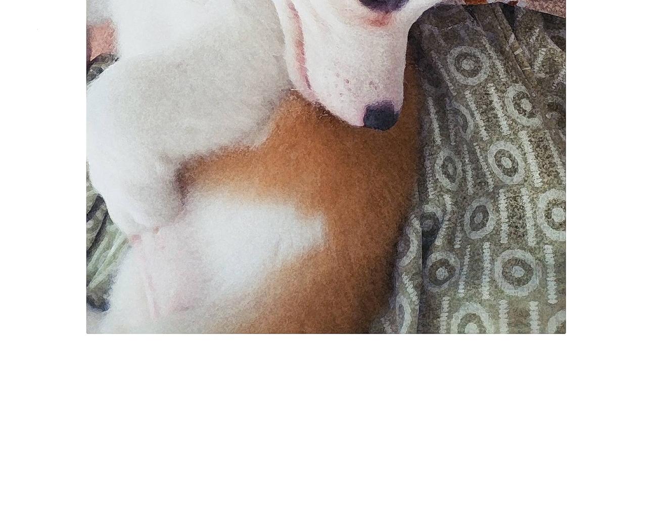 眼线仙子与创作坎坷-第10话