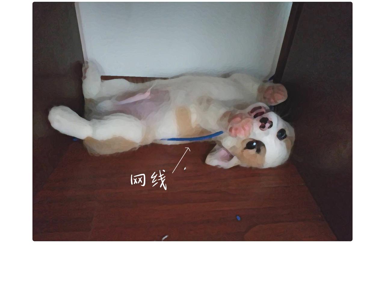 眼线仙子与创作坎坷-第10话