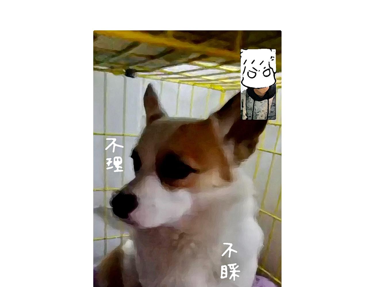 冷漠与热情-第12话