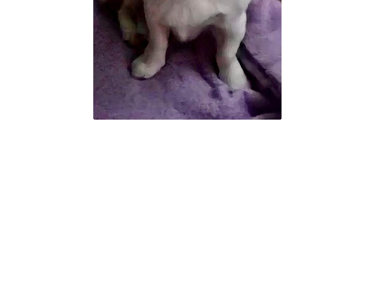 冷漠与热情-第12话