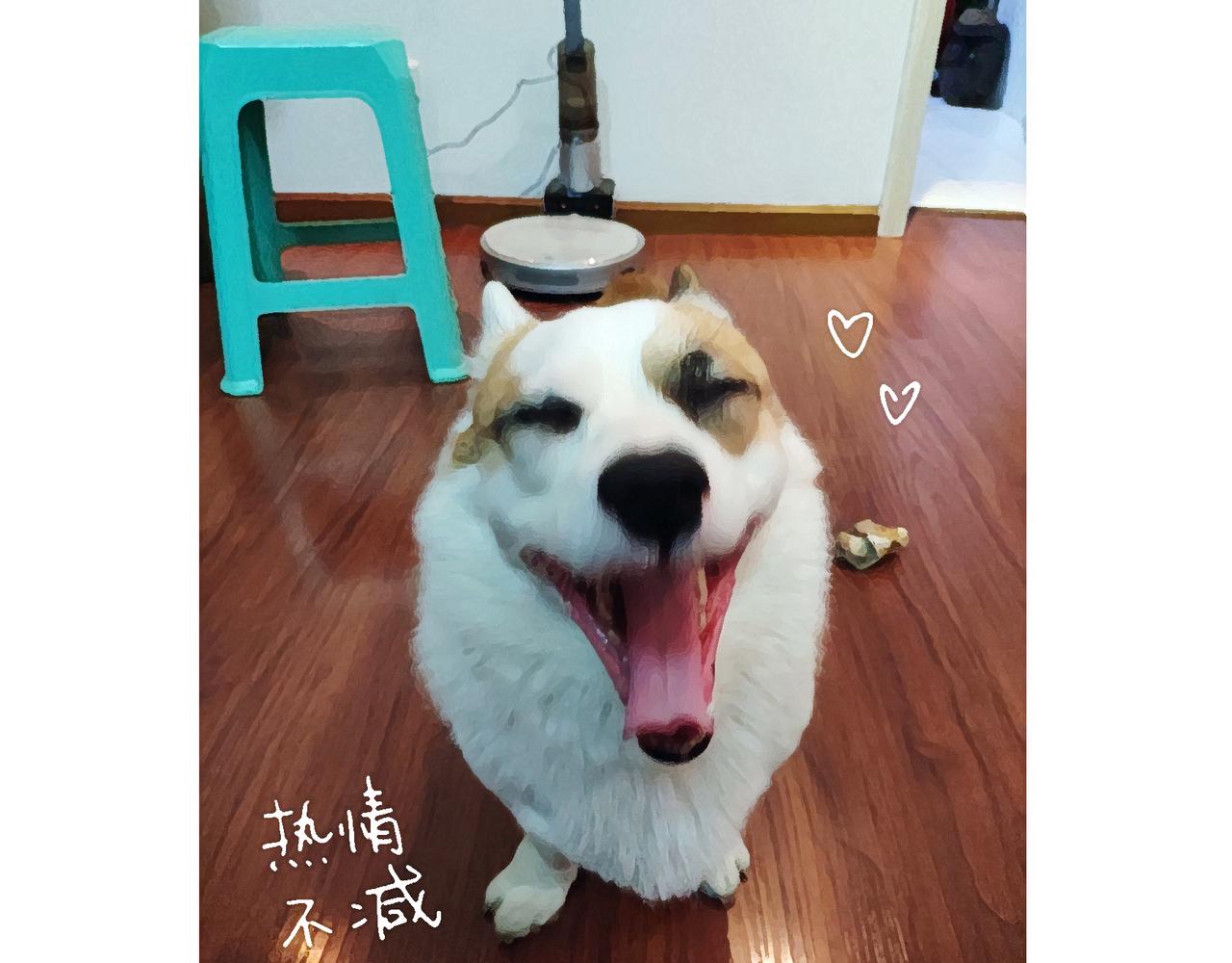 冷漠与热情-第12话