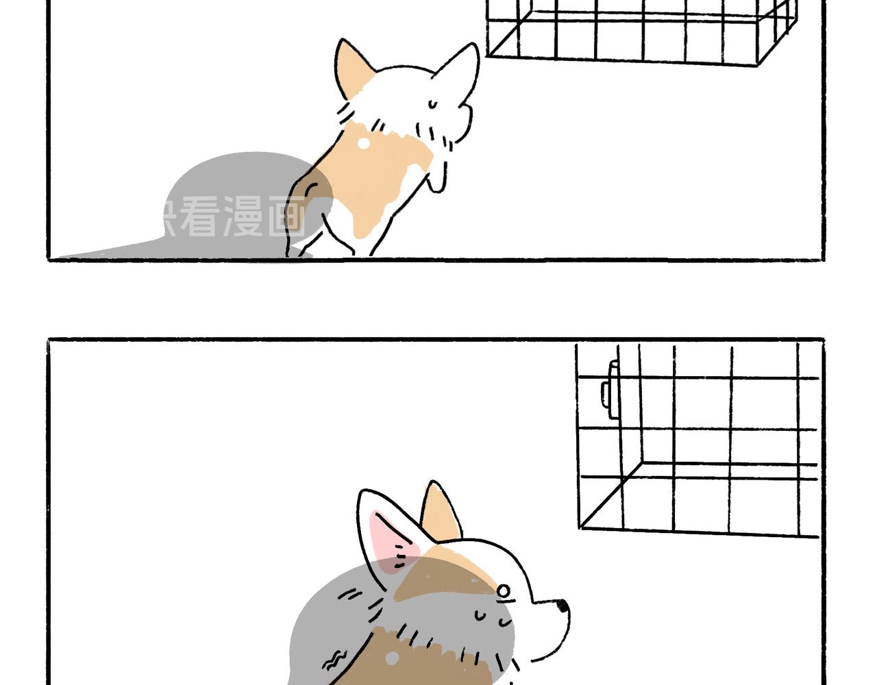 妈妈的严厉与温柔-第14话