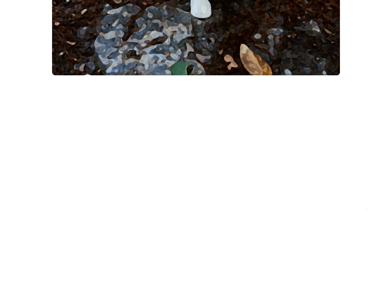 春天的小狗-第20话